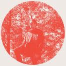 cd: Owen Pallett: Heartland