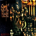 cd-digipak: Septic Flesh: Esoptron