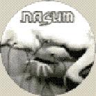 pic lp: Nasum: Human 2.0