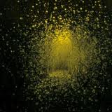 cd: Antlers: Burst Apart