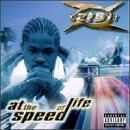 cd: Xzibit: At the speed of life