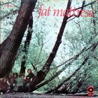 cd: Fat Matress: Fat Matress one