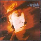 cd: Triffids: Calenture