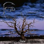 cd: Fejd: Storm