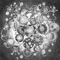 cd: Long Distance Calling: Long Distance Calling