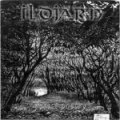 cd: Ildjarn: Forest Poetry