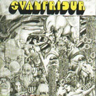 cd: Svanfridur: What's Hidden There?