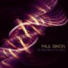 cd: Paul Simon: So Beautiful Or So What