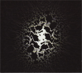 cd: Träd, Gräs och Stenar: Hemlösa Katter