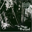  obestämt: Thou Shalt Suffer: Into the woods of belial