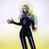cd: Björk: Vulnicura