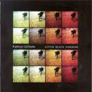 cd: Kathryn Williams: Little Black Numbers