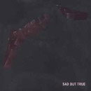 cd: Metallica: Sad but true
