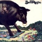 obestämt: Bull Angus: Bull Angus