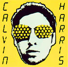 obestämt: Calvin Harris: I Created Disco