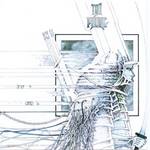 cd: Tai Phong: Tai Phong