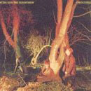 cd: Echo & The Bunnymen: Crocodiles