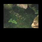 cd: Belborn: Y