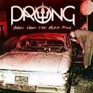 cd: Prong: Songs from the black hole