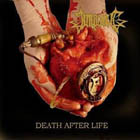 cd pappersfodral: Impaled: Death After Life