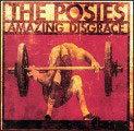 cd: Posies: Amazing Disgrace