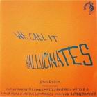 2lp: VA: We Call It Hallucinates