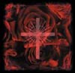 cd: BLOOD: 1st PERIOD DX