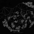 cd: Tunng: Comments of the Inner Chorus