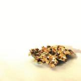 cd: Discipline: To Shatter All Accord