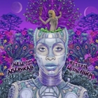 cd: Erykah Badu: New Amerykah Part Two (Return Of The Ankh)