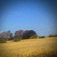 cd: Sun Kil Moon: Benji