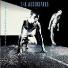  obestämt: Associates: The affectionate punch