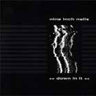 obestämt: Nine Inch Nails: Down in It