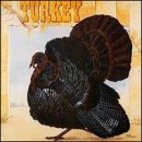 lp: Wild Turkey: Turkey