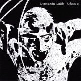 cd: Diamanda Galás: Schrei X