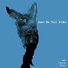  obestämt: Sunny Day Real Estate: The Rising Tide