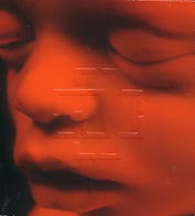 2cd digipak: Rammstein: Mutter