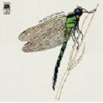  obestämt: Strawbs: Dragonfly