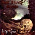 cd: Blood Thirsty Demons: In The Grave