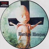  obestämt: Marilyn Manson: Disposable Teens