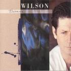 lp: Brian Wilson: Brian Wilson