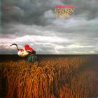cd: Depeche Mode: A Broken Frame