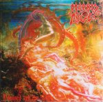 lp-gatefold: Morbid Angel: Blessed are the sick