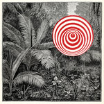 cd: Goran Kajfes: Into the Wild