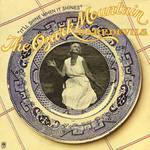 cd: Ozark mountain daredevils: It'll shine when it shines