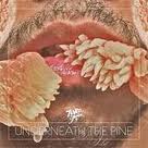 cd: Toro Y Moi: Underneath The Pine