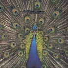 cd: Bluetones: Expecting to fly