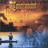  obestämt: Taraxacum: Rainmaker
