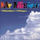  obestämt: Mr. Mister: Broken Wings