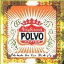 cd: polvo: celebrate the new dark age